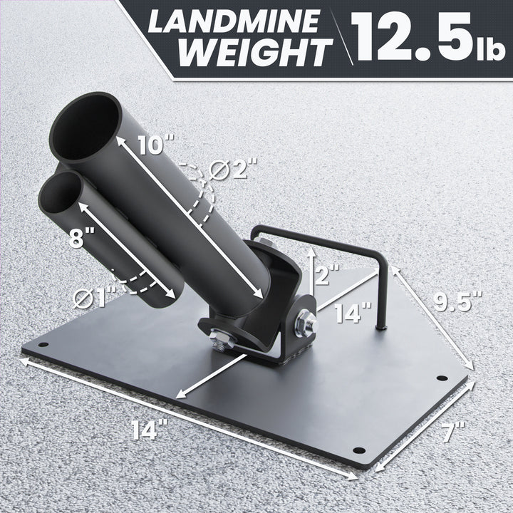 Synergee Landmine Platform