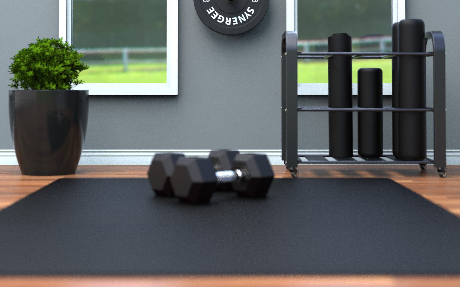 2 Home Gym Essentials That Will Transform Your Workouts!