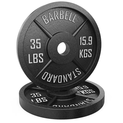 Synergee Standard Metal Weight Plates | Synergee Fitness Canada ...