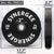 Synergee KG Bumper Plates