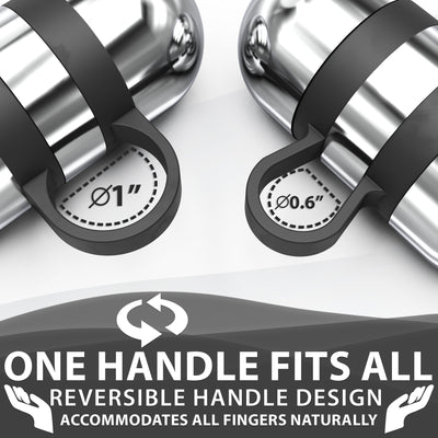 Synergee Hand Weights