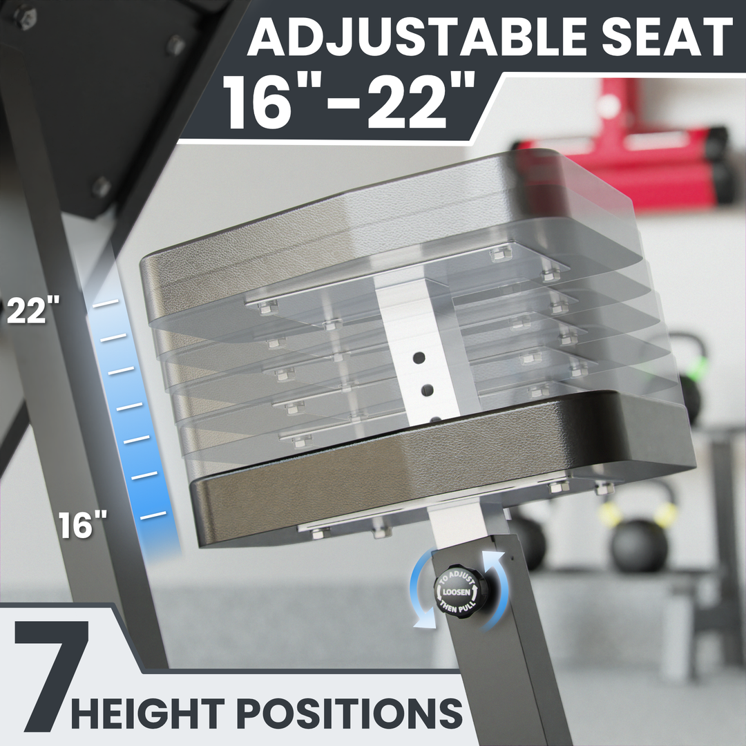 Synergee Preacher Curl Bench