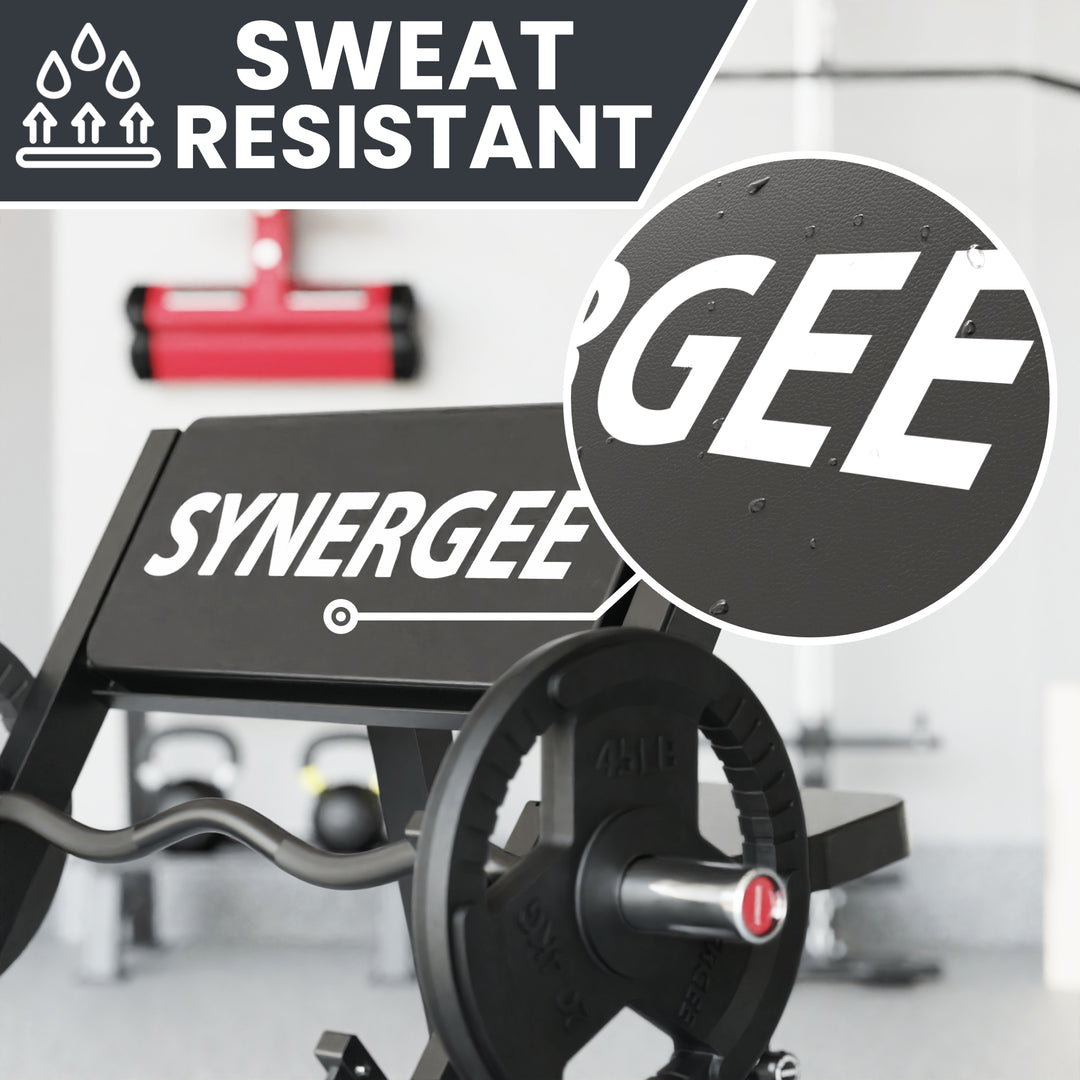 Synergee Preacher Curl Bench