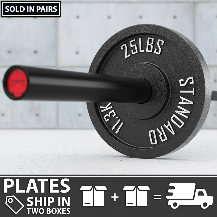 Synergee Standard Metal Weight Plates