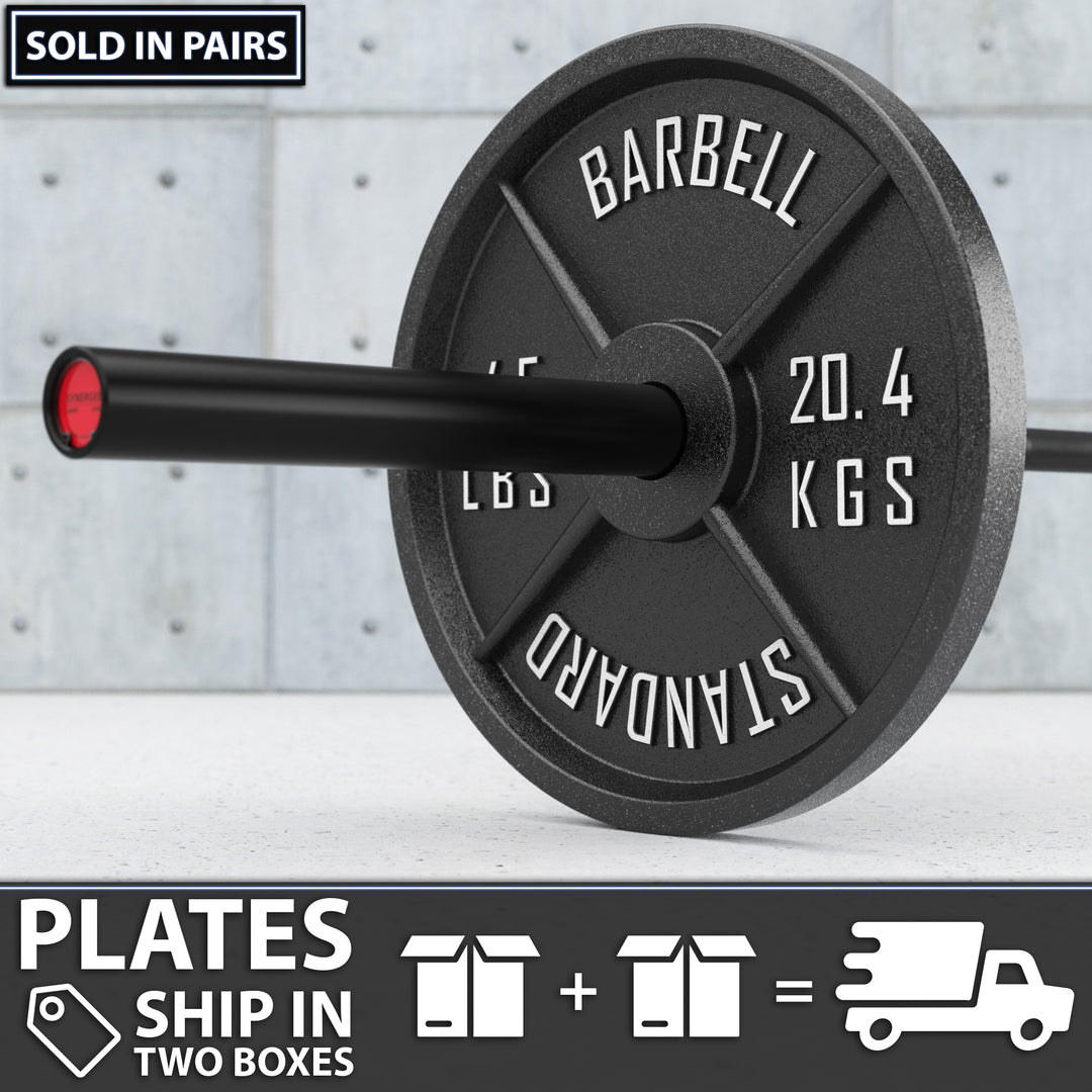 Synergee Standard Metal Weight Plates