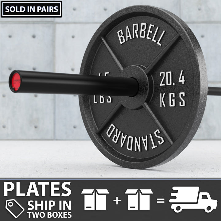 Synergee Standard Metal Weight Plates