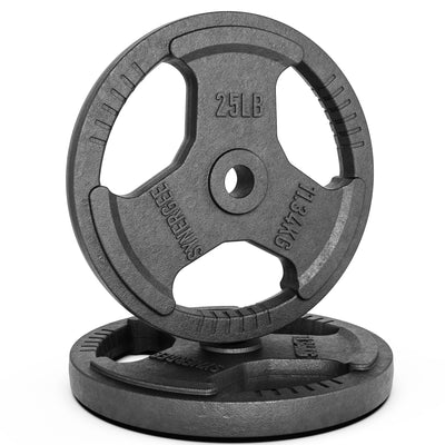 Synergee 1 Inch Cast Iron Weight Plates