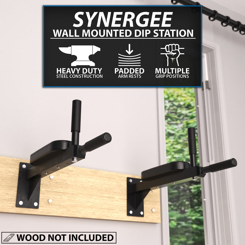 Synergee Wall Mounted Dip Station