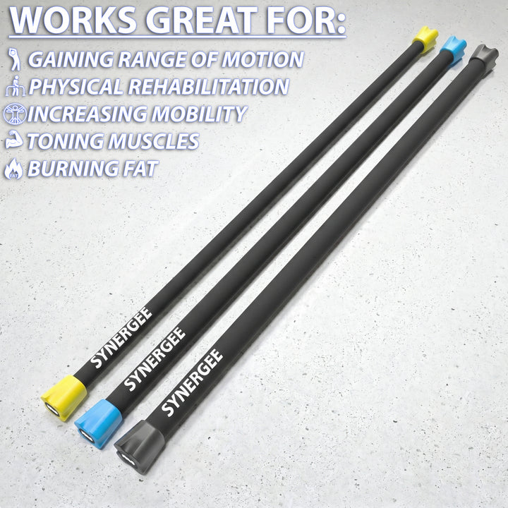 Synergee Weighted Workout Bars